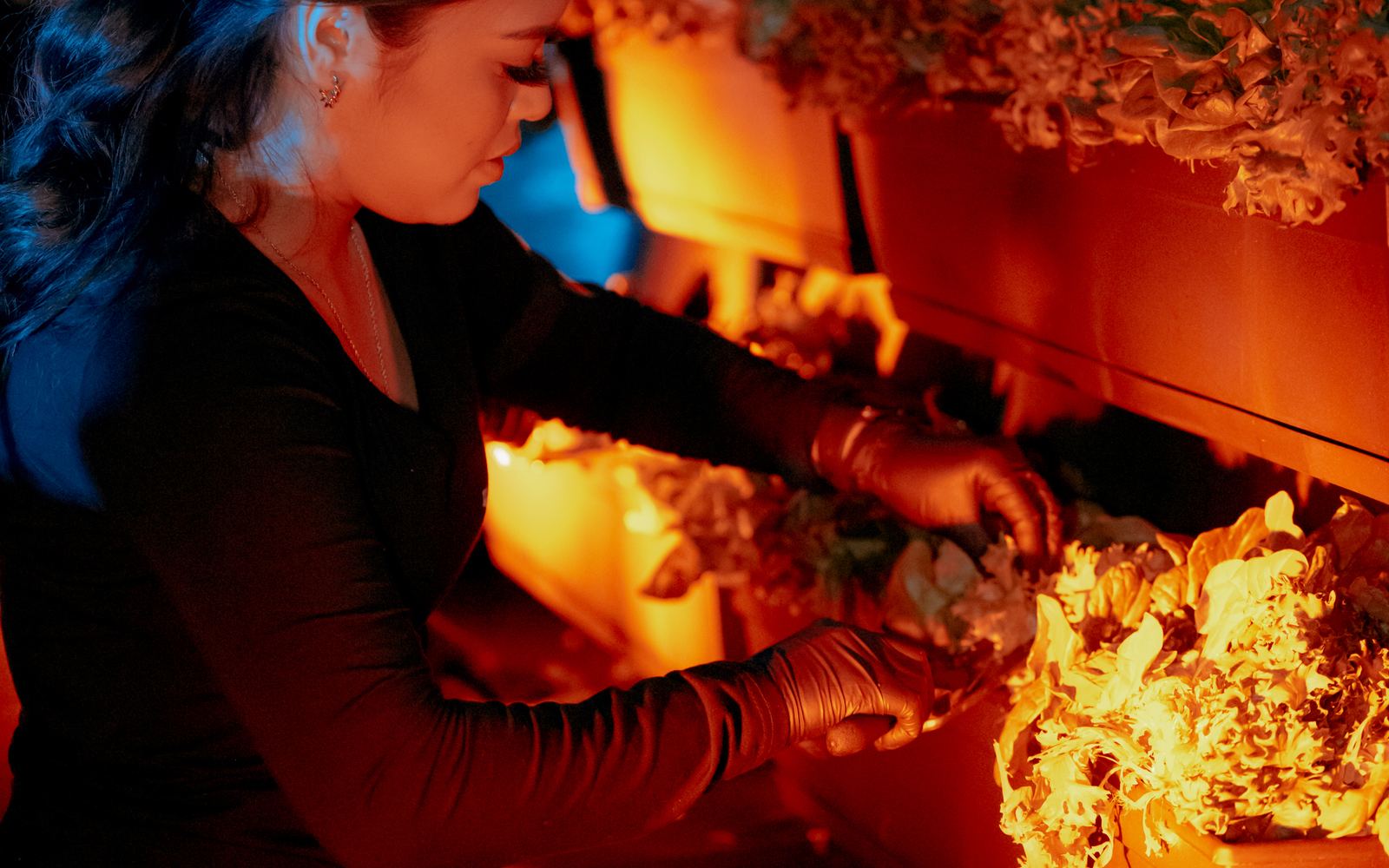 A chef arranging food at a glowing, flower-dressed serving station.